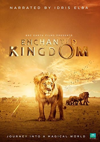Enchanted Kingdom poster