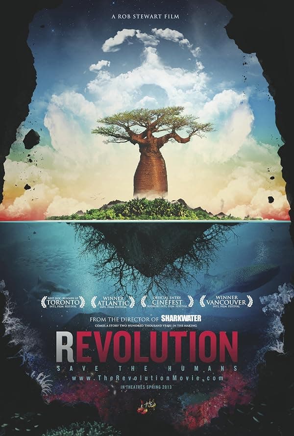 Revolution poster