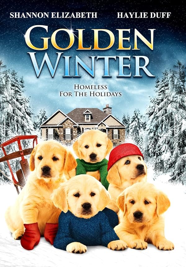 Golden Winter poster