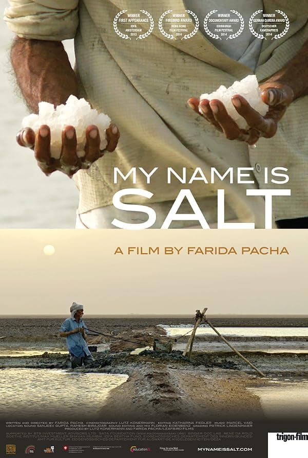 My Name Is Salt poster