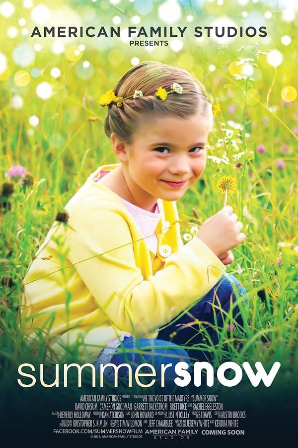 Summer Snow poster