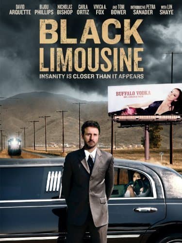 Black Limousine poster