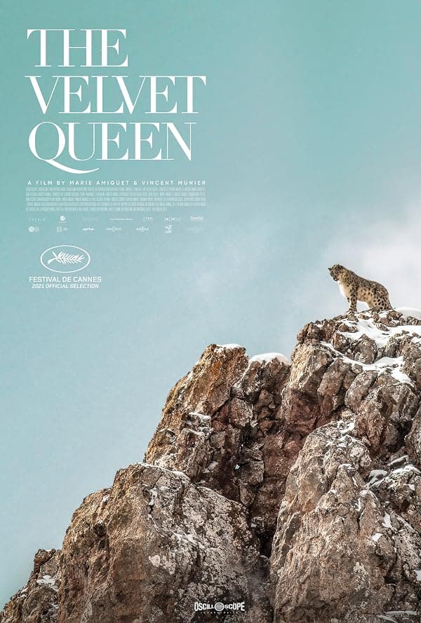 The Velvet Queen poster