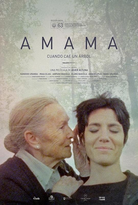When a Tree Falls poster