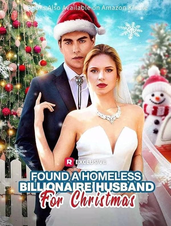 Found a Homeless Billionaire Husband for Christmas poster