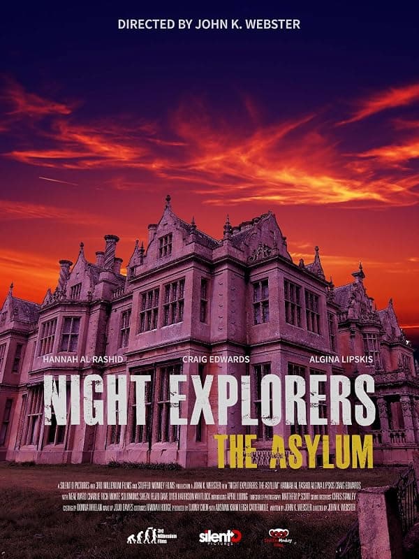 Night Explorers: The Asylum poster
