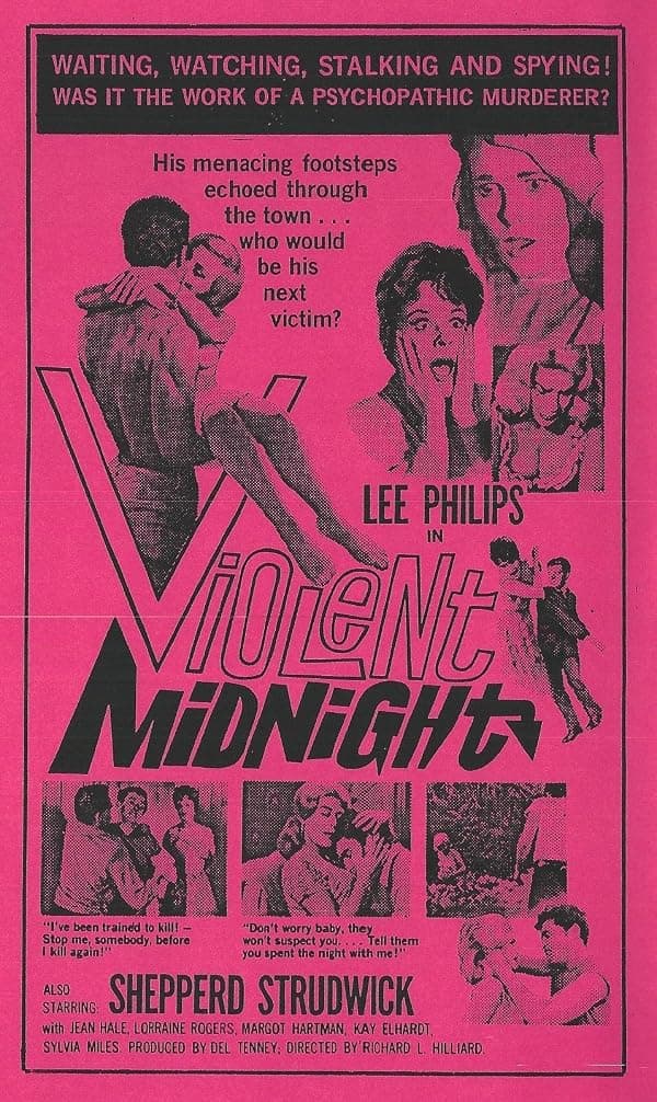 Violent Midnight poster