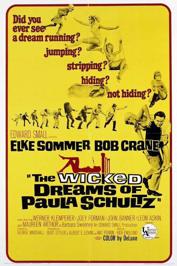The Wicked Dreams of Paula Schultz poster