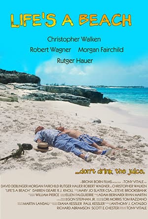 Bachelor Trip poster