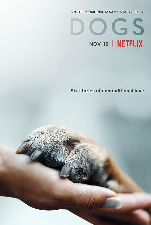 Dogs poster