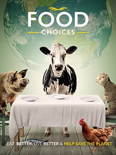 Food Choices poster
