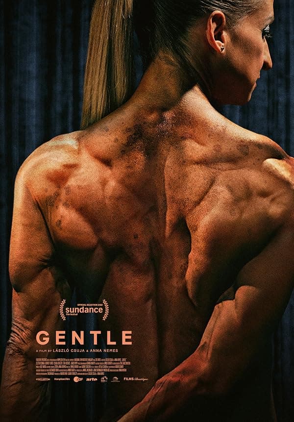 Gentle poster