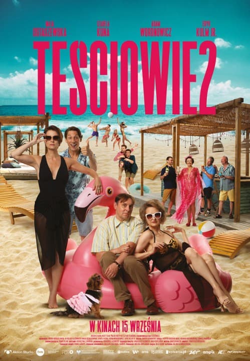 Tesciowie 2 poster