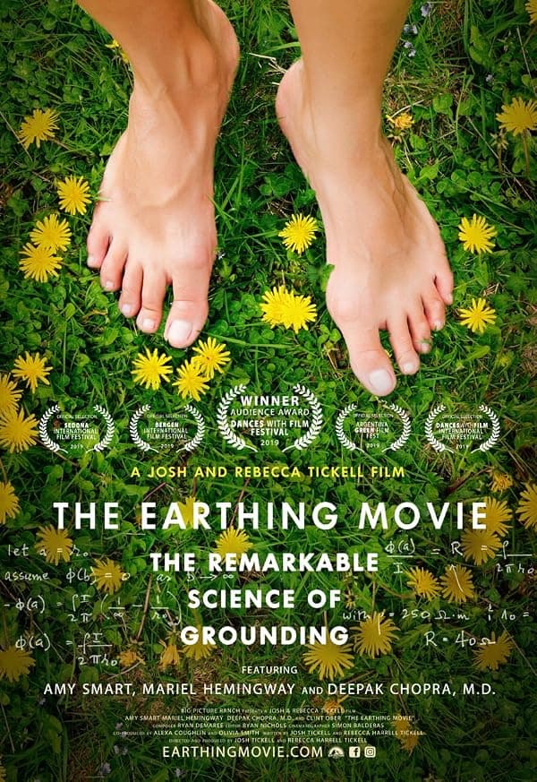 The Earthing Movie poster