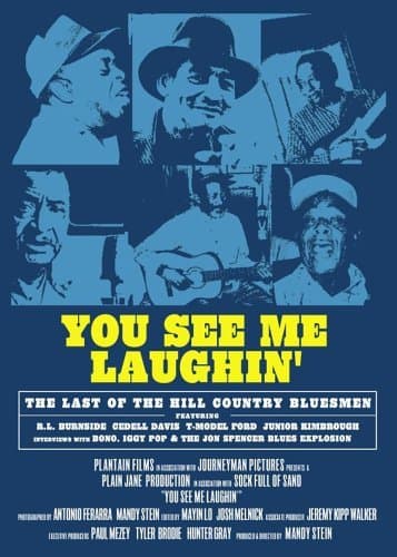 You See Me Laughin' poster
