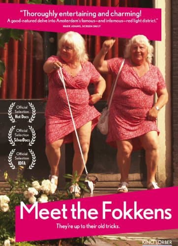 Meet the Fokkens poster