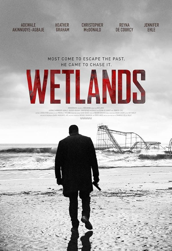 Wetlands poster