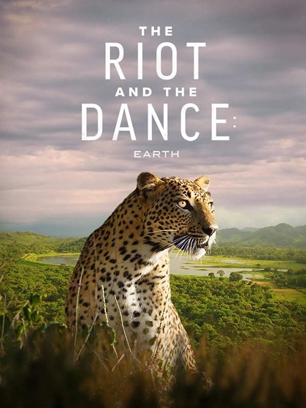The Riot and the Dance poster