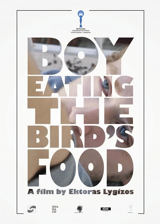 Boy Eating the Bird's Food poster