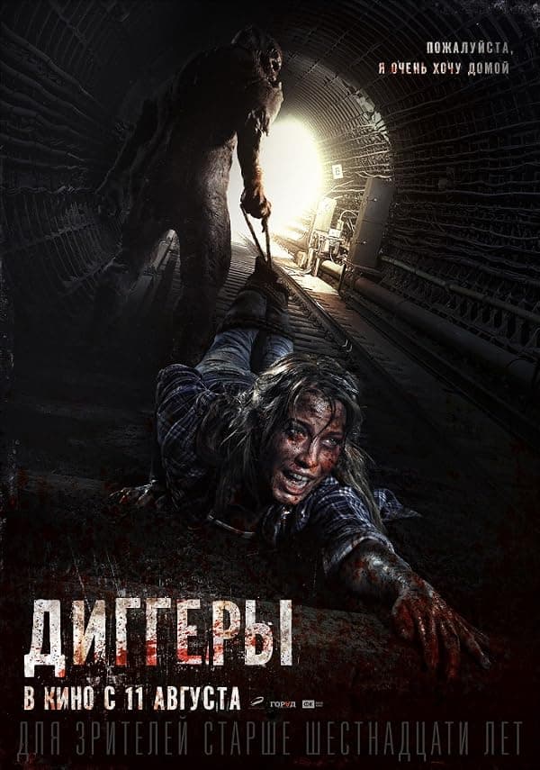 Diggery poster