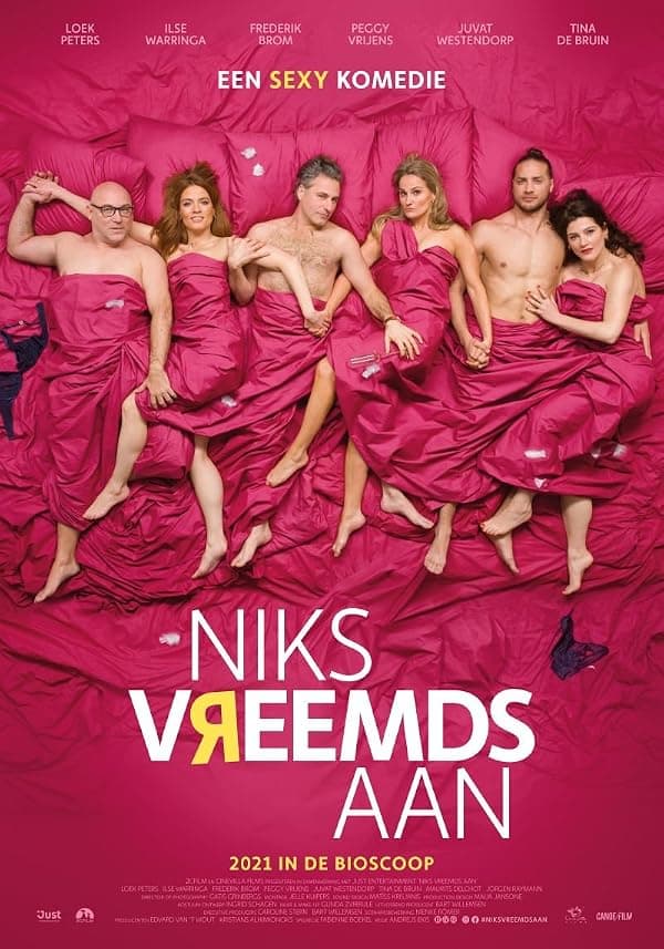 Niks vreemds aan poster