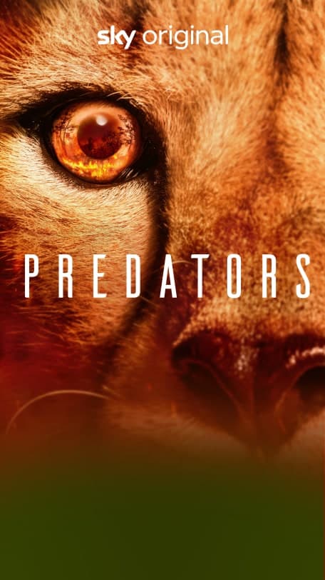 Predators poster