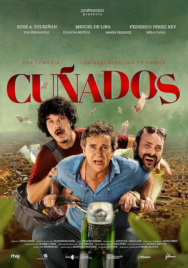 Cuñados poster