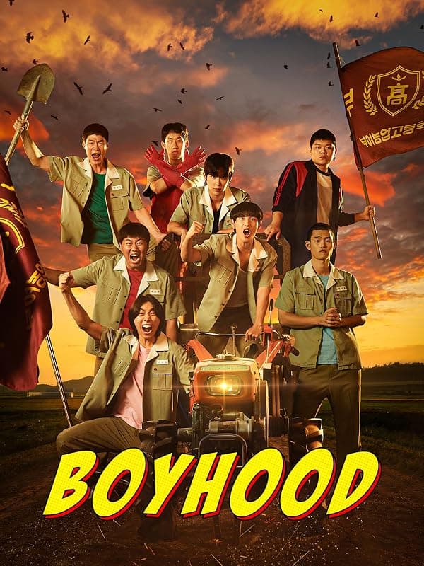 Once Upon a Boyhood poster