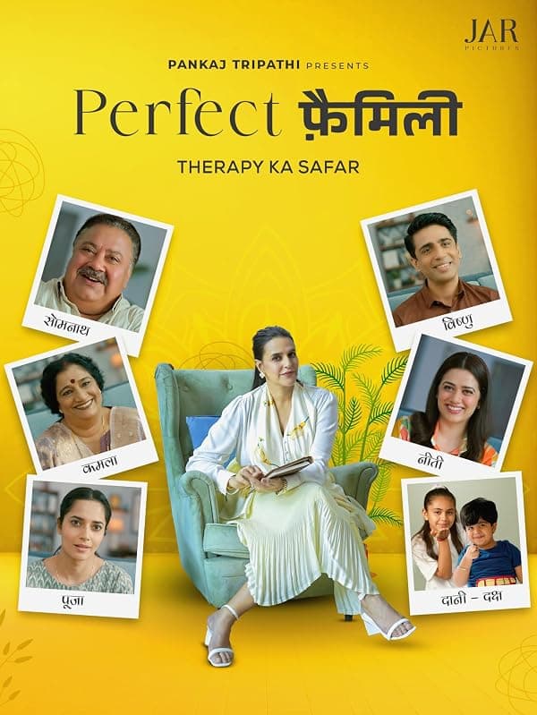 Perfect Family poster