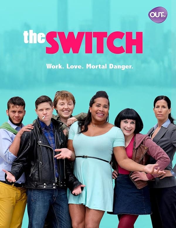 The Switch poster