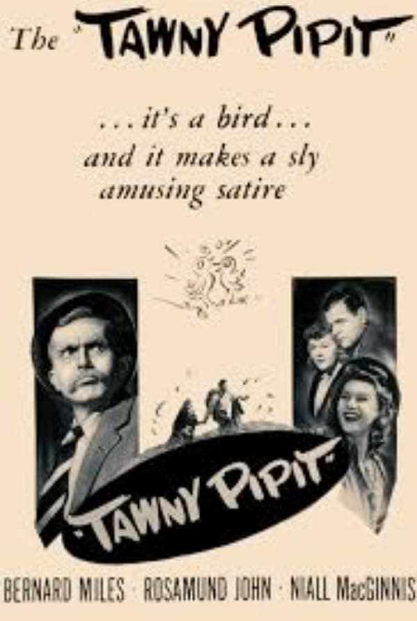 Tawny Pipit poster