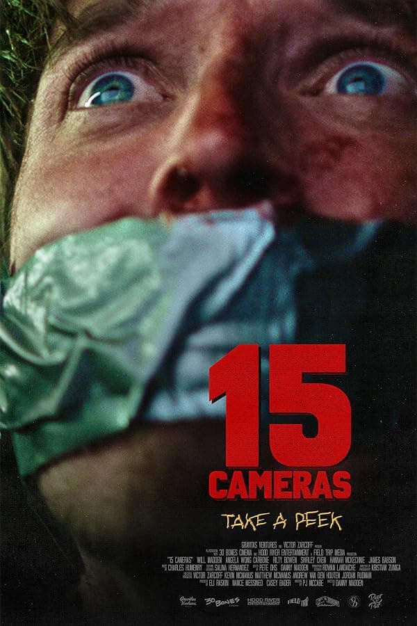 15 Cameras poster