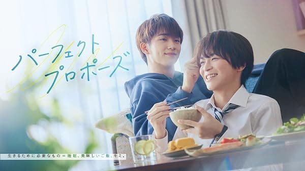 Perfect Propose poster