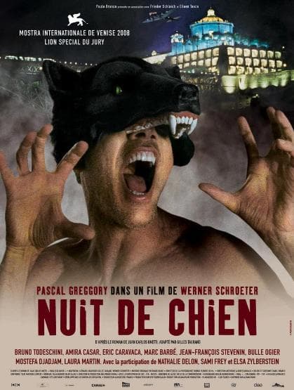 Nuit de chien poster