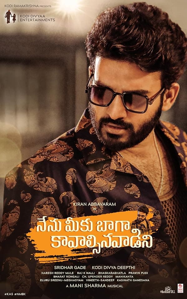 Nenu Meeku Baaga Kavalsinavaadini poster
