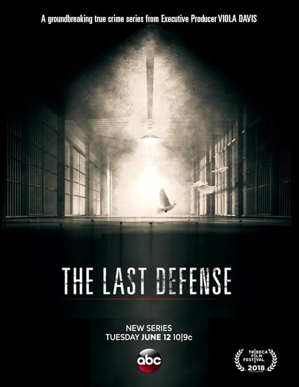 The Last Defense poster