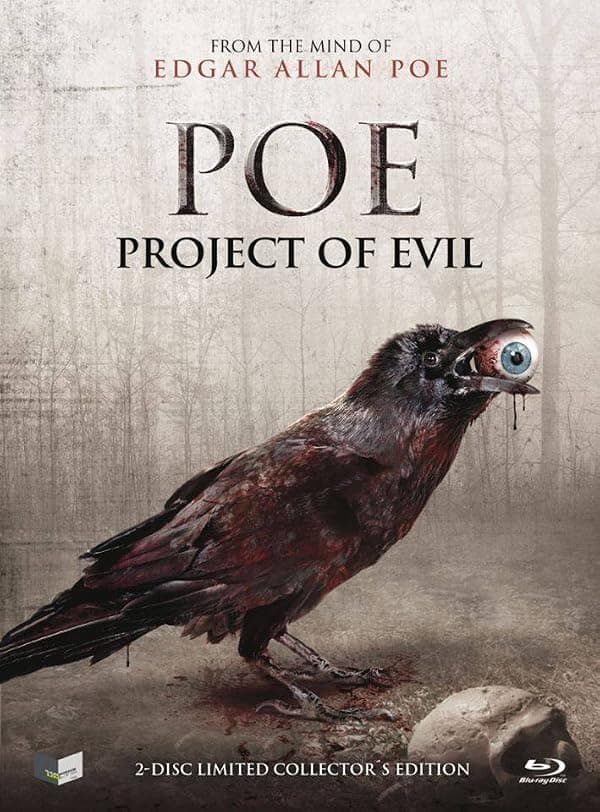 P.O.E.: Project of Evil poster