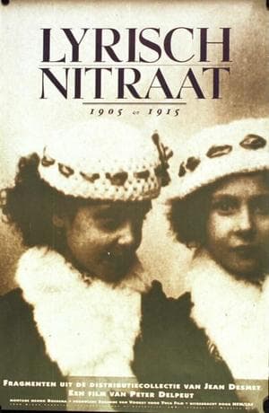 Lyrisch nitraat poster