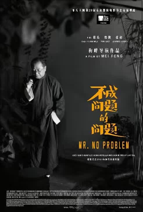 Mr. No Problem poster