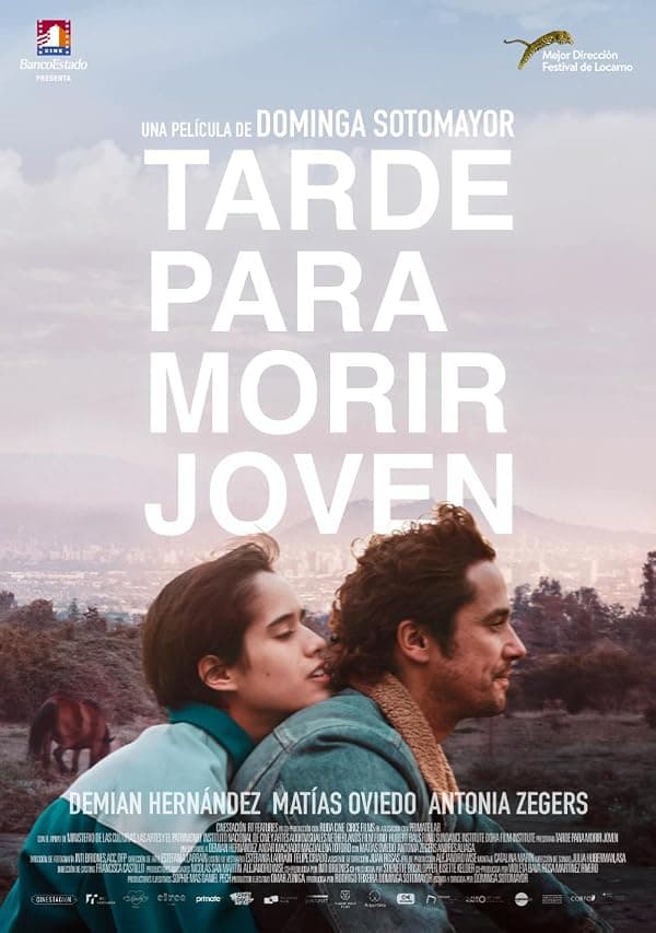 Too Late to Die Young poster