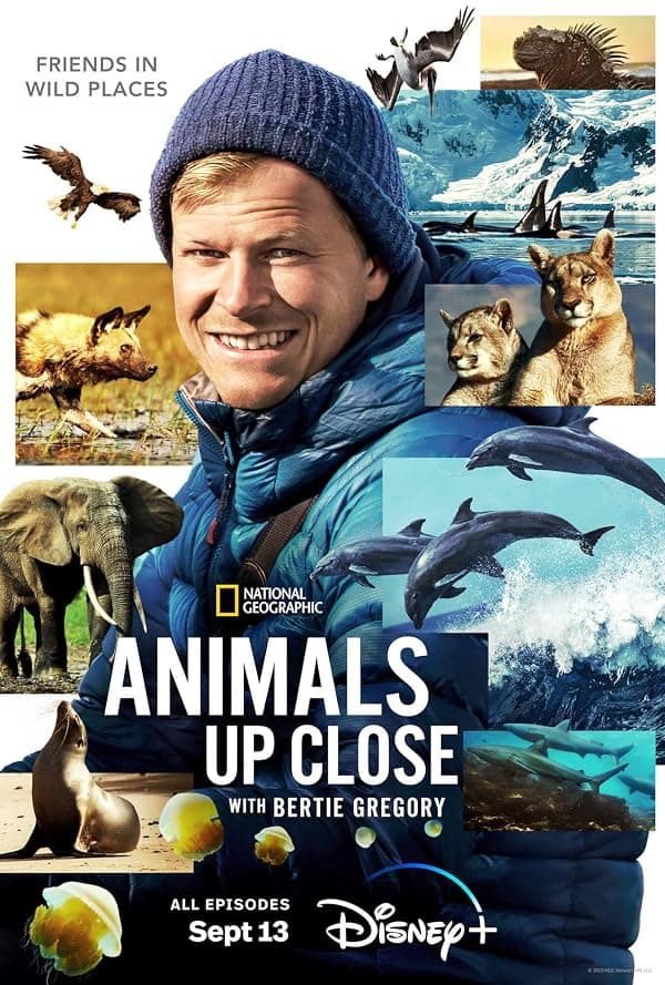 Animals Up Close with Bertie Gregory poster