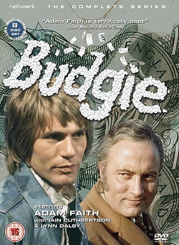 Budgie poster