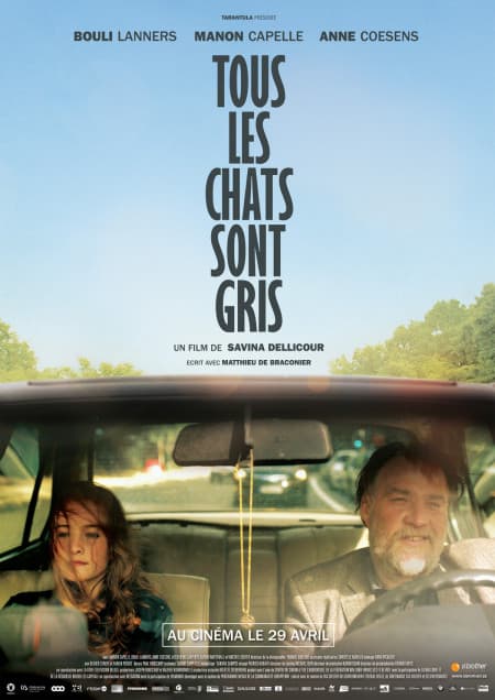 All Cats Are Grey poster