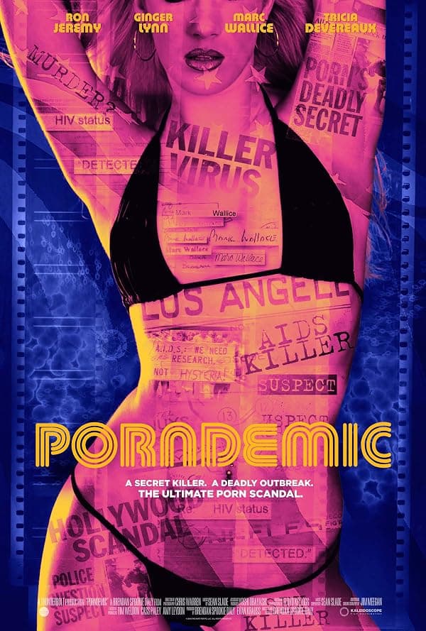 Porndemic poster