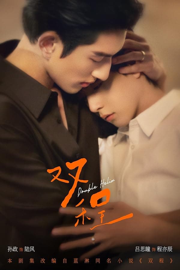 Double Helix poster