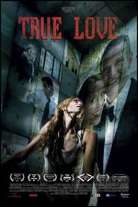 Y/N: You Lie, You Die poster