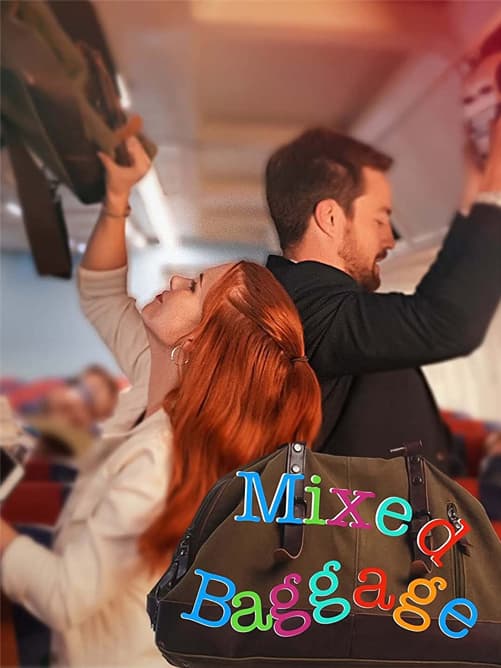 Mixed Baggage poster