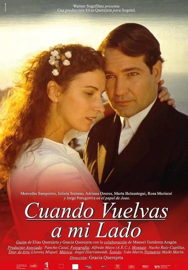 Cuando vuelvas a mi lado poster