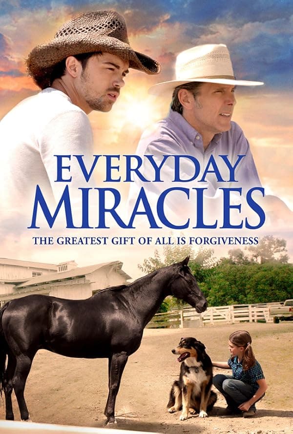 Everyday Miracles poster