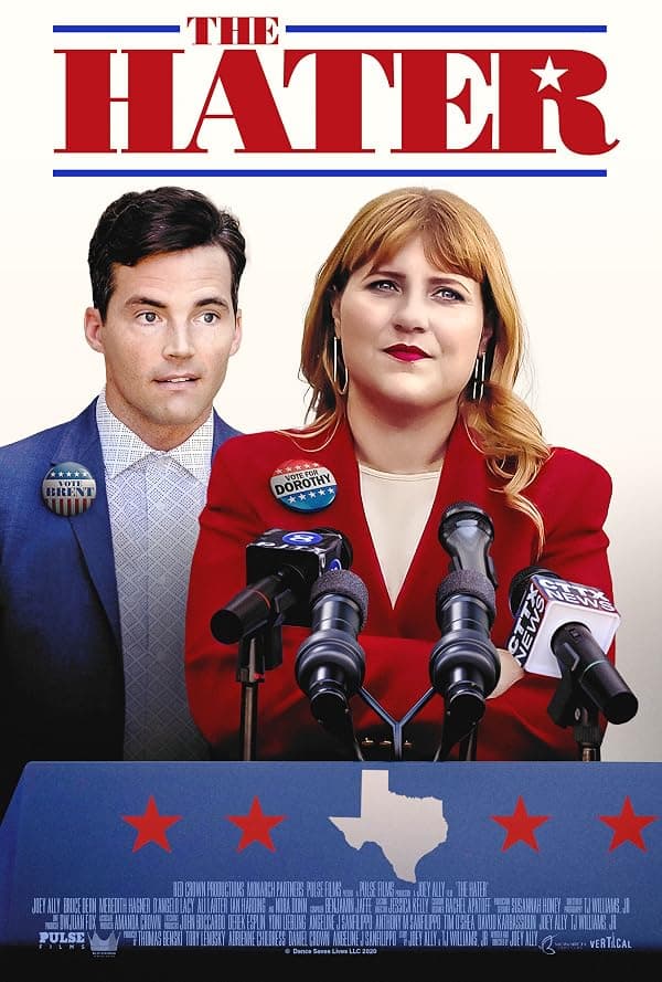 The Hater poster